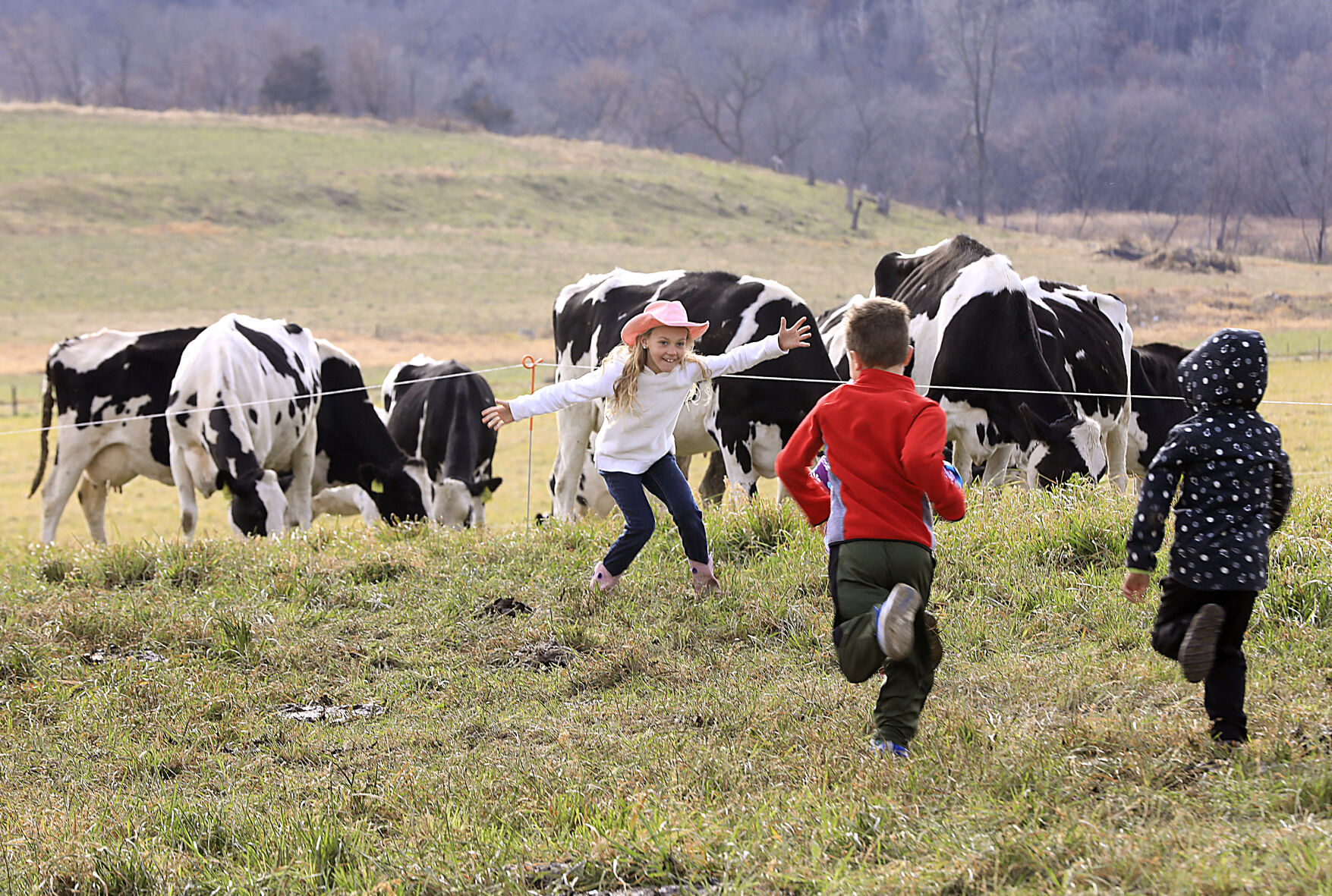 Grazing